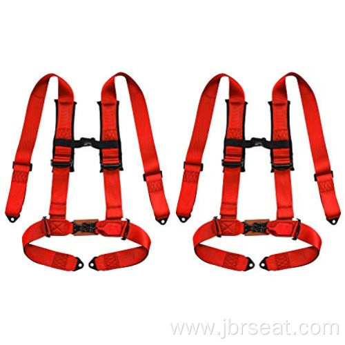 2 inch 6 Point Custom harness safety belt